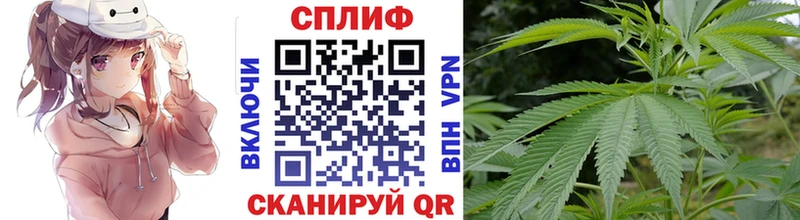  Cocaine Кандалакша