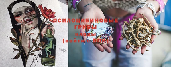 героин Алексин