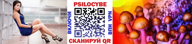 где найти   Кандалакша  Псилоцибиновые грибы Psilocybine cubensis 
